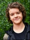 Gaten Matarazzo
